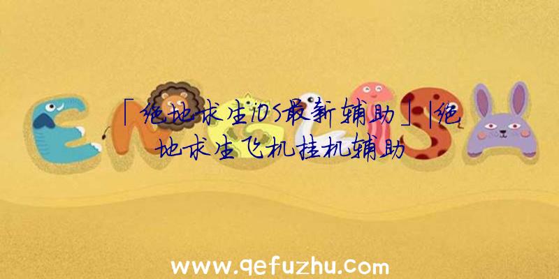 「绝地求生iOS最新辅助」|绝地求生飞机挂机辅助
